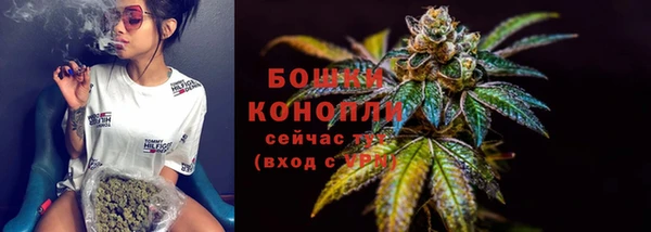 мдпв Ладушкин