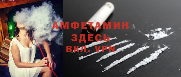 мдпв Ладушкин