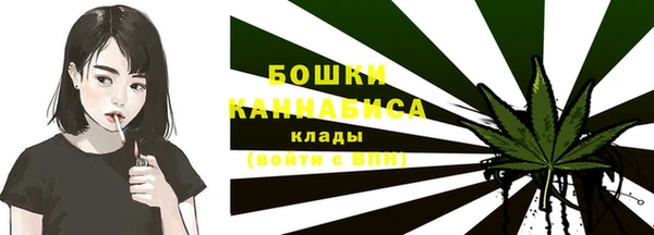 мдпв Ладушкин