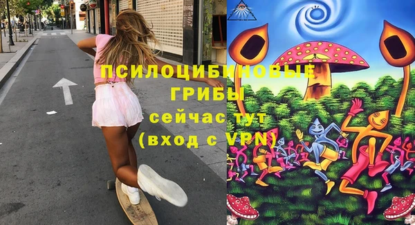 стаф Лабытнанги