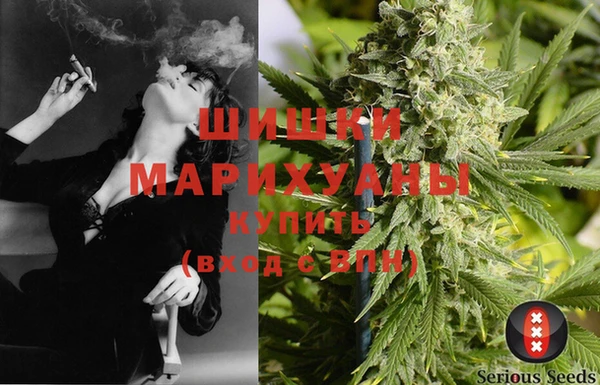 мдпв Ладушкин