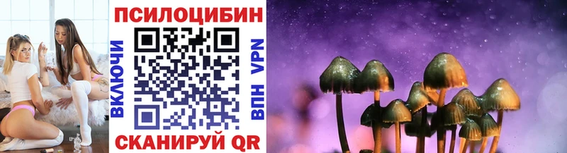 Галлюциногенные грибы Psilocybine cubensis  Кукмор 
